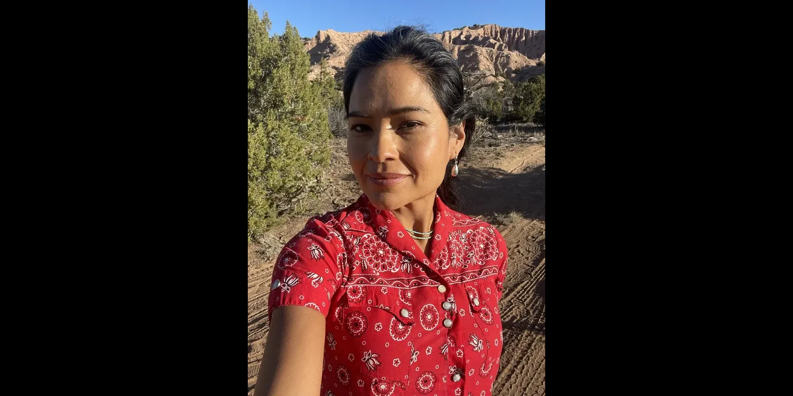 Farmington Daily Times Pic