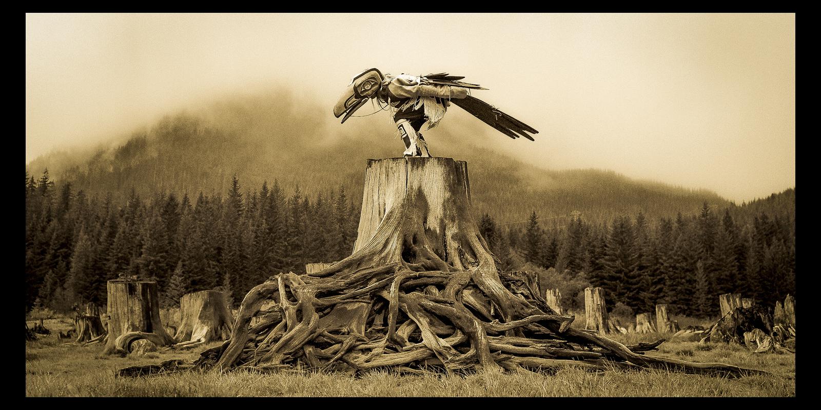 Raven Tells His Story